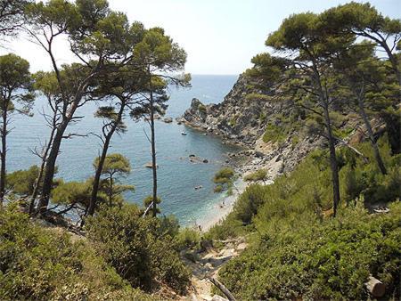 A 500 Metres Des Plages Et Du Port Du Brusc, Les Terrasses Des Embiez Avec Piscine Et Spa 锡富尔勒普拉日 外观 照片